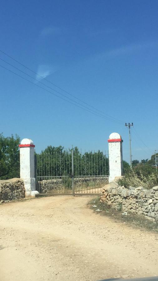 Masseria Elefante ตูรี ภายนอก รูปภาพ